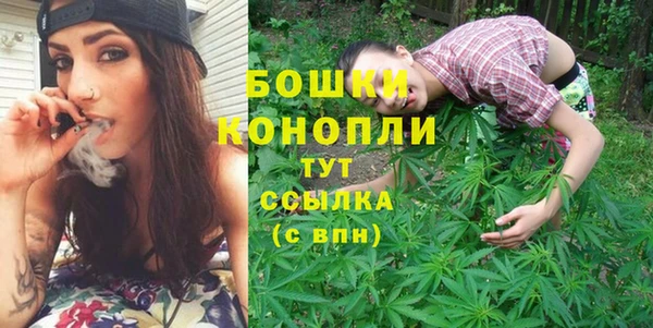 PSILOCYBIN Абдулино