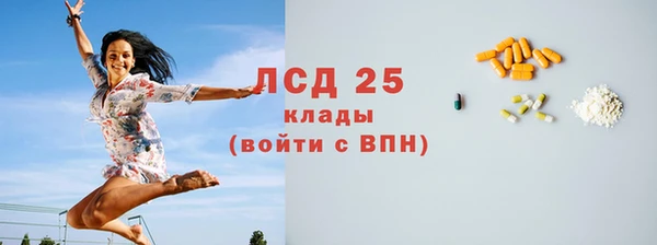 PSILOCYBIN Абдулино