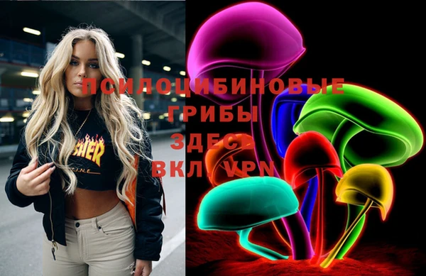 PSILOCYBIN Абдулино