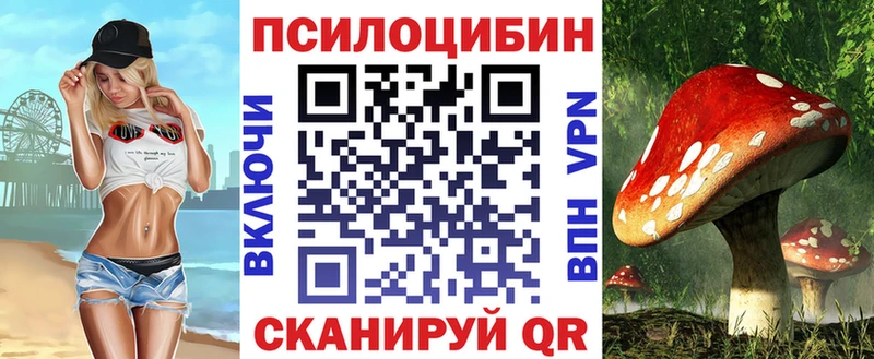Галлюциногенные грибы Psilocybe  Дербент 